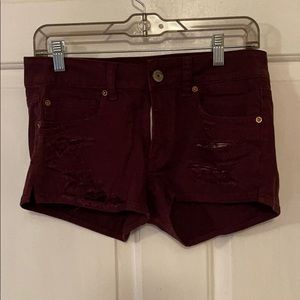 American eagle burgundy shorts